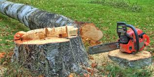 Reliable Huntingdon, TN Tree Removal and Landscaping Services Solutions